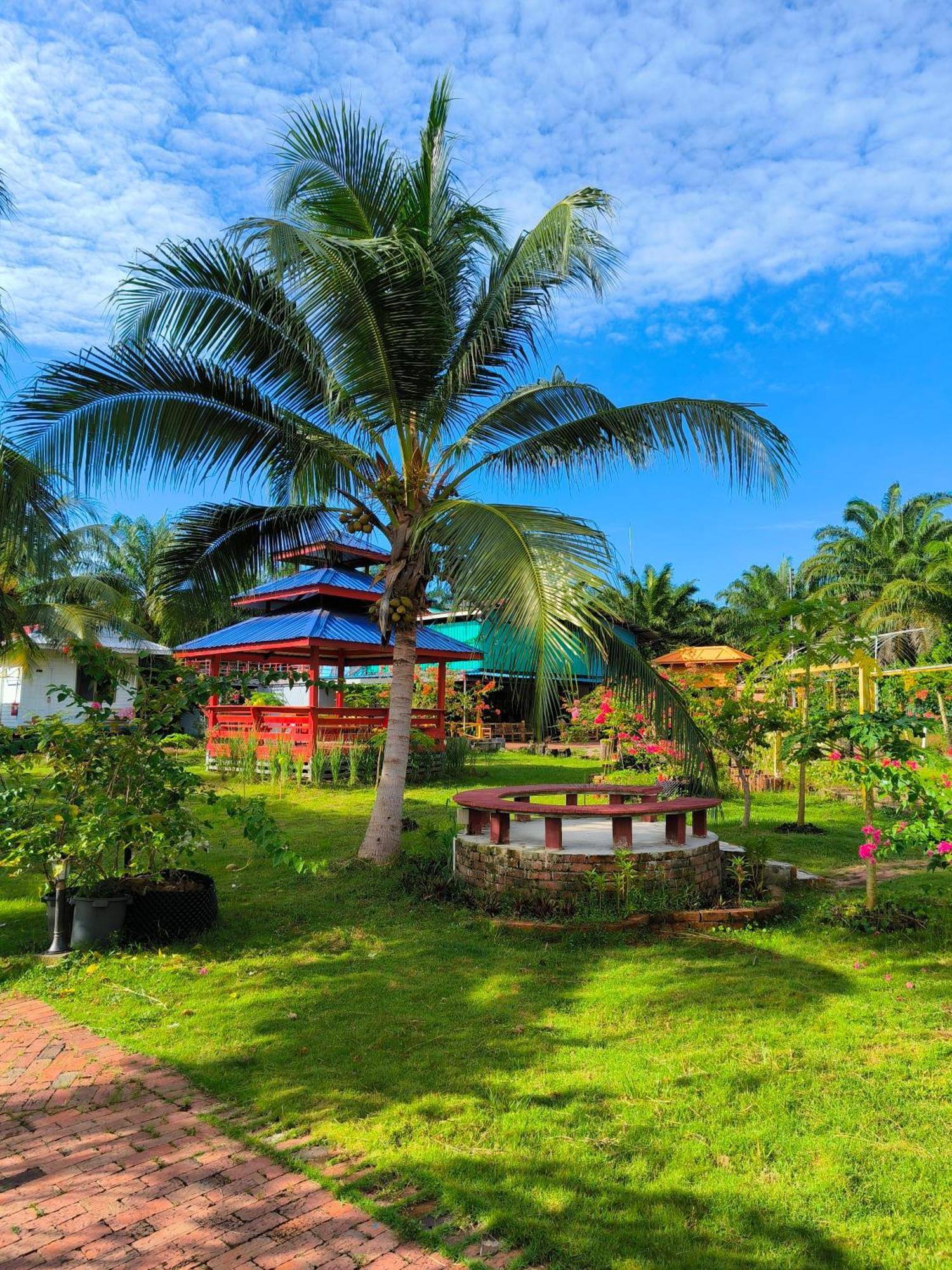 Shunde Palm Resort 仙本那顺德人家棕榈园 Exteriér fotografie