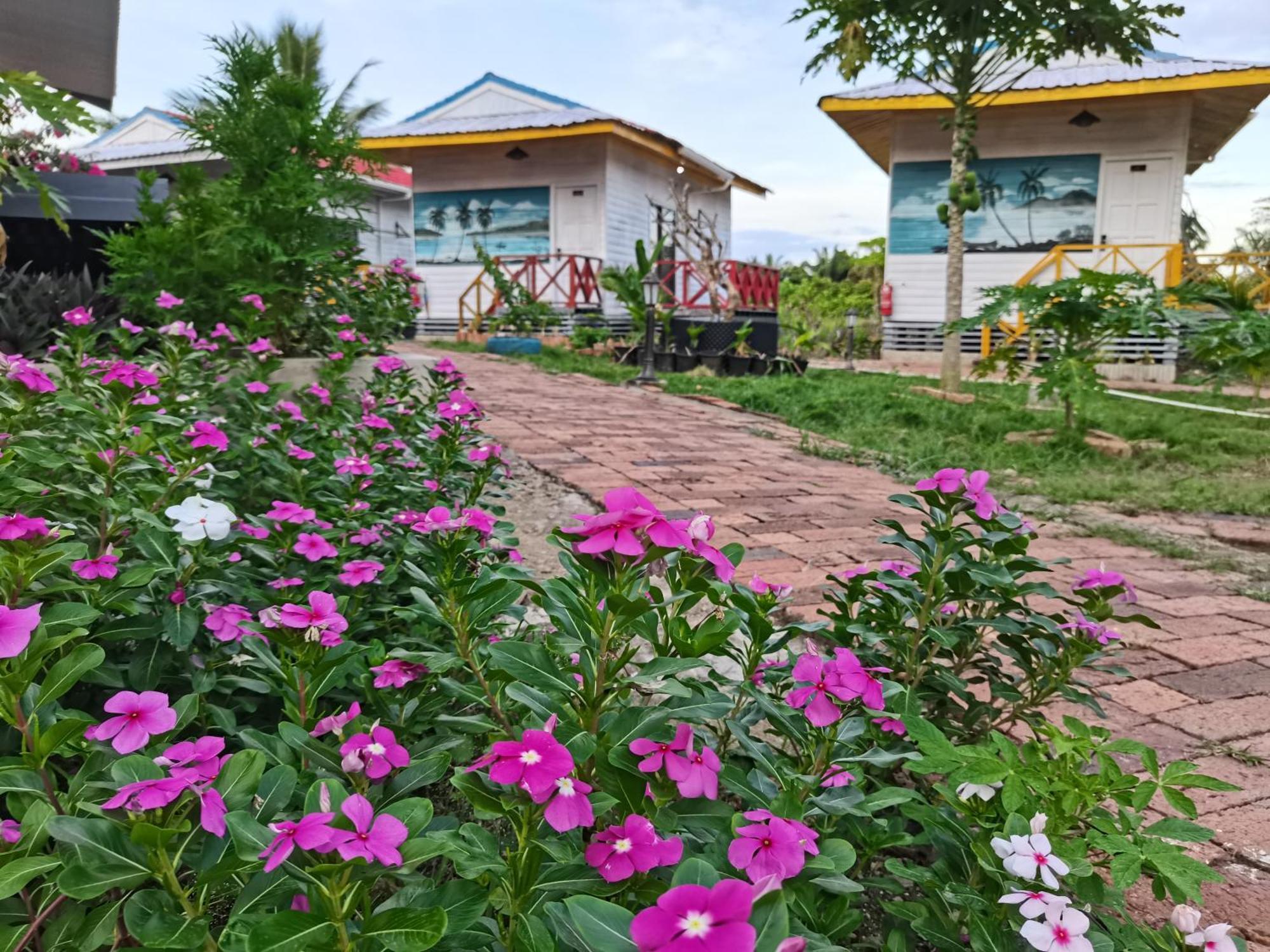 Shunde Palm Resort 仙本那顺德人家棕榈园 Exteriér fotografie